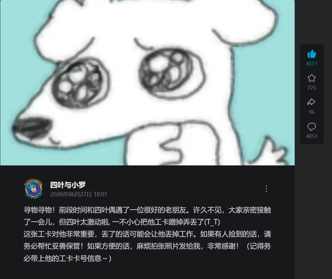 寻物寻物动态
